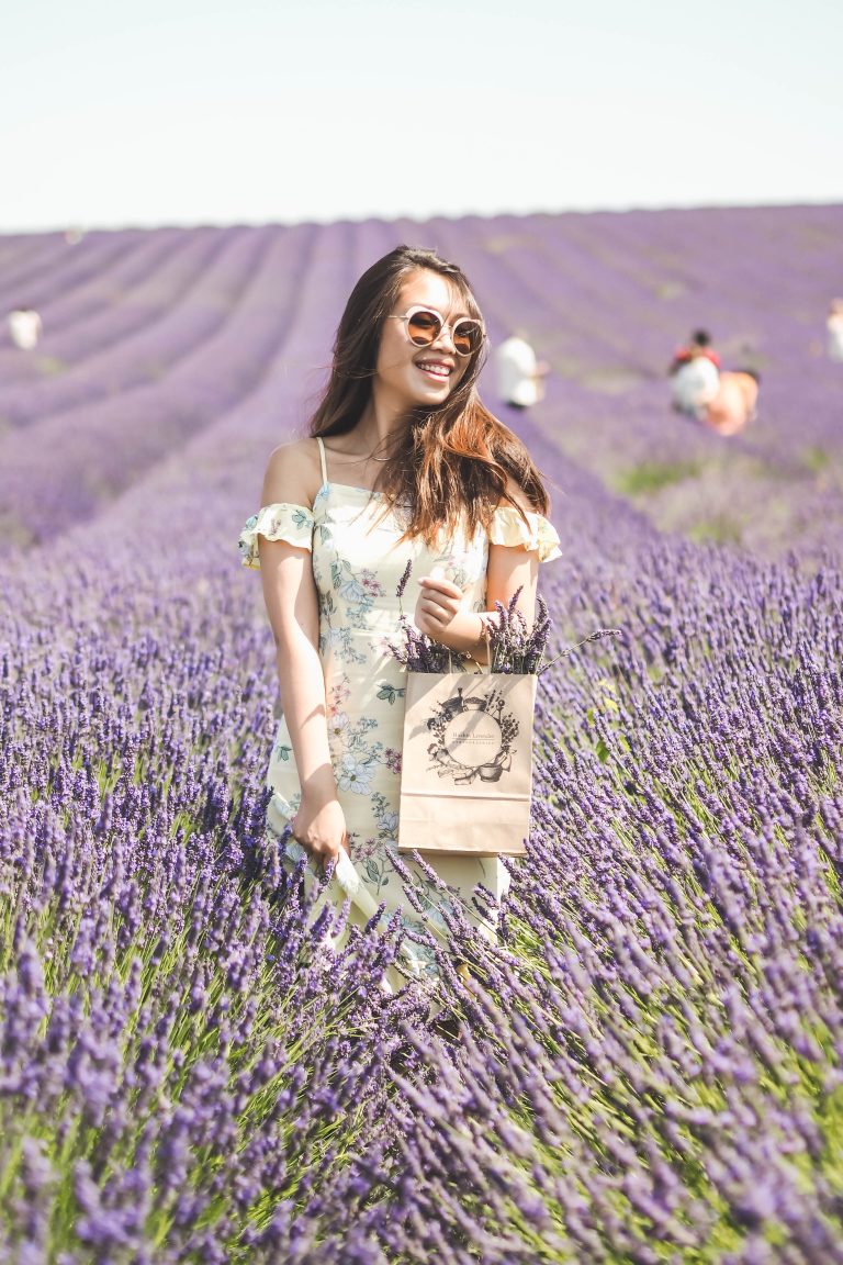 Lavender Haze + How To Shoot At A Lavender Field