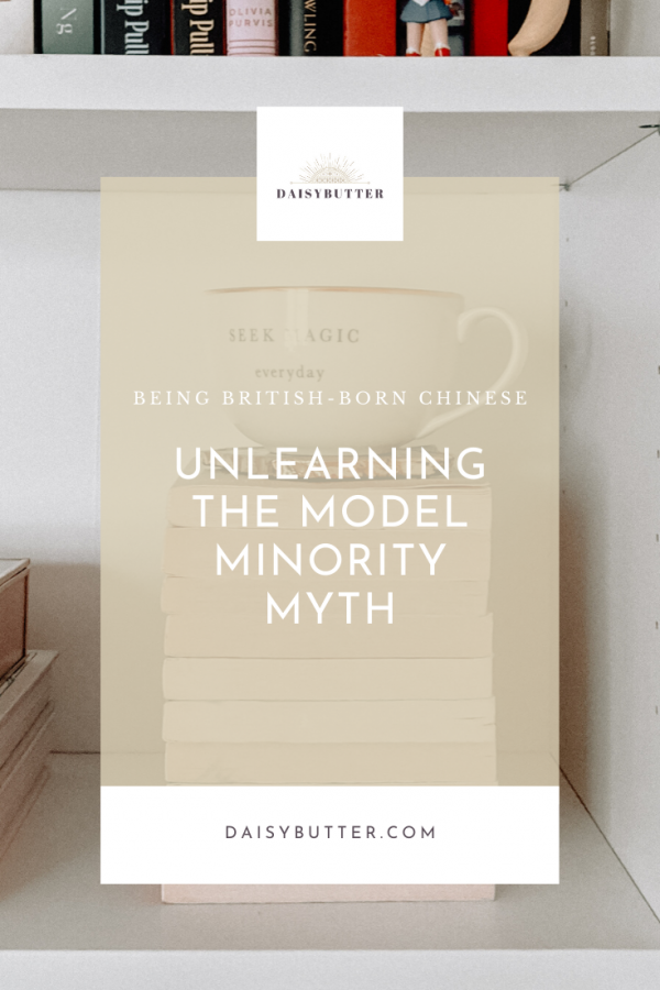 The First Steps of Unlearning the Model Minority Myth · Daisybutter
