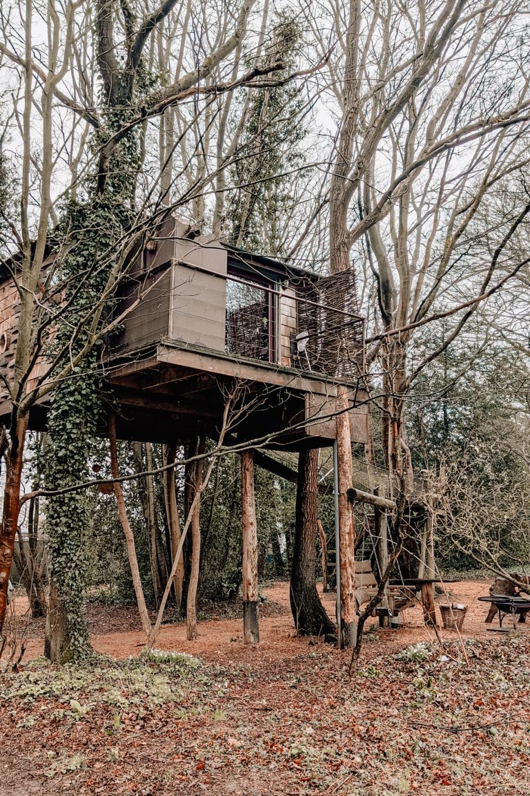 Our Stay at a Treehouse!