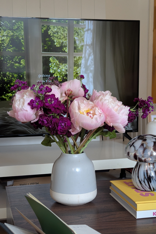 Sundaze 296: Summer’s here, health kick and a poorly car